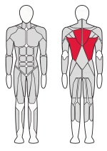  Рычажная тяга Fitex FTX-6214