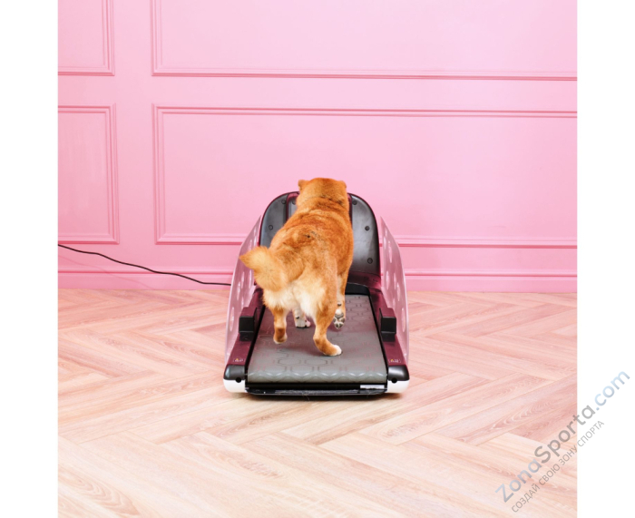 Беговая дорожка Yesoul T-Q1 для собак