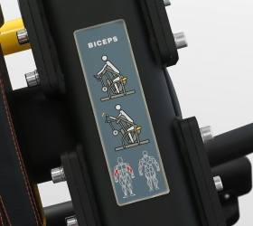 Бицепс Bronze Gym PL-1713