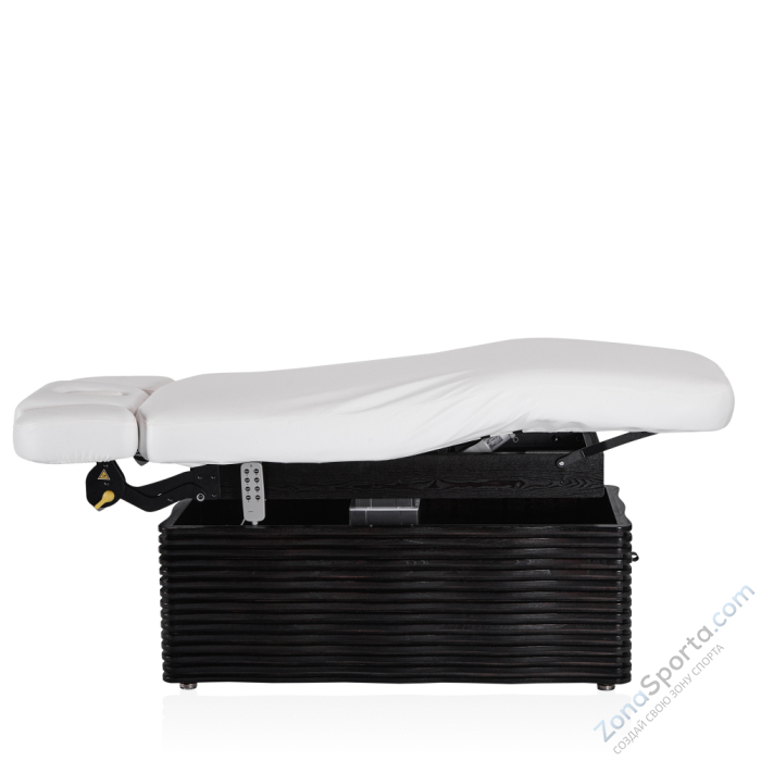 Электрический стационарный массажный стол Mizomed NESS-D Salon