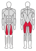 Гакк машина Fitex Pro FTX-7327 Гакк машина Fitex Pro FTX-7327