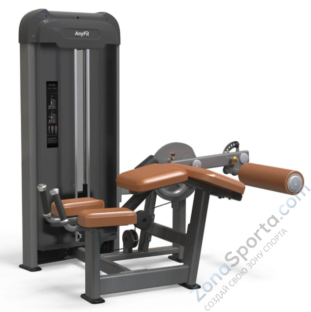 Сгибание ног AnyFit PE203-66