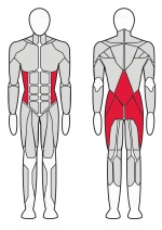 Гиперэкстензия угловая Fitex Pro Optima FTX-61A43