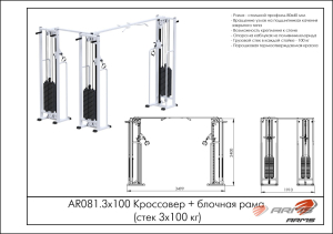 Кроссовер/блочная рама (стек 3х100 кг) ARMS AR081.3x100