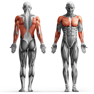 Кроссовер Marbo Sport MH-W103