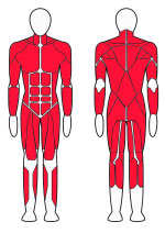 Многофункциональный силовой комплекс Fitex FTX-8509