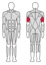 Тренажер Трицепс машина XR105