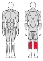 Голень сидя FTX-61A30