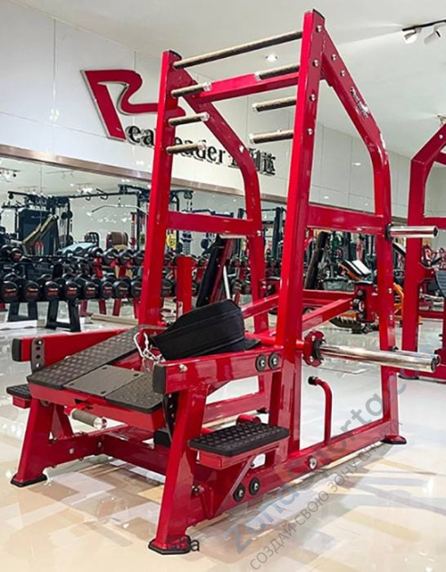 Приседания с поясом (колодец) на свободных весах Realleader LD-2004 (HSPro-2004) Приседания с поясом (колодец) на свободных весах Realleader LD-2004 (HSPro-2004)