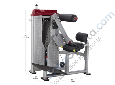 Разгибание спины Steel Flex Hope HBK1600