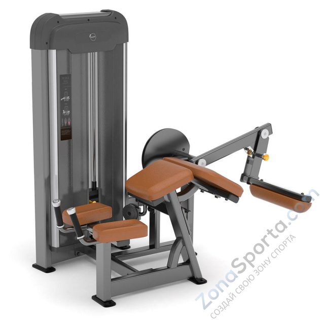 Сгибание ног AnyFit PE203-84