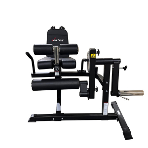 Сгибание/разгибание ног - спина - пресс Vertex FT-3036