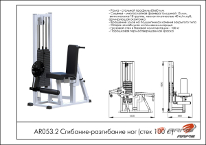 Сгибание-разгибание ног (стек 100 кг) ARMS AR053.2