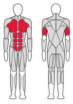 Стойка брусья-пресс Fitex FTX-6245  Стойка брусья-пресс Fitex FTX-6245