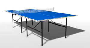Теннисный стол Wips Outdoor Composite