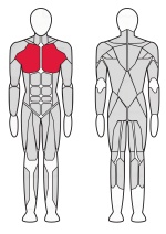 Тренажер для мышц груди и задних дельт Fitex Pro FTX-7309