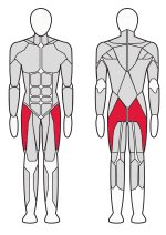 Тренажер для отводящих мышц бедра Fitex Pro FTX-61F23 Тренажер для отводящих мышц бедра Fitex Pro FTX-61F23