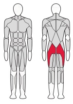 Тренажер для ягодичных мышц (радиальный) Fitex Pro FTX-FB24