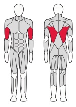 Верхняя тяга Fitex Pro FTX-FB35 Верхняя тяга Fitex Pro FTX-FB35