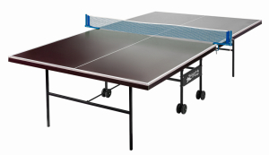 Влагостойкий теннисный стол Sport Play Goplay (коричневый)