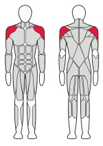 Жим вверх Fitex Pro FTX-7301